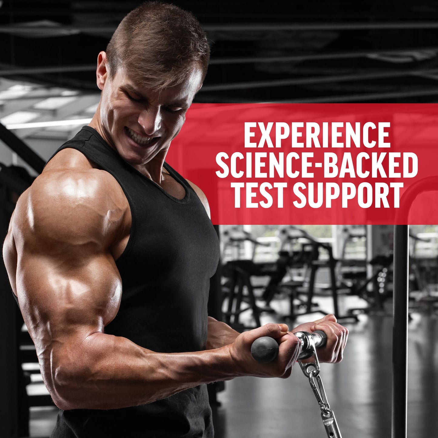 Force Factor Test X180 Gummies, Testosterone Booster Supplement for Men | with Tongkat Ali, Horny Goat Weed, Tribulus Terrestris, Fenugreek, & Black Maca, Berry Punch, 60 Gummies