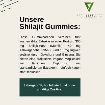 Himalaya Shilajit Gold Gummies |   Laboratory Tested in Germany |   Food Supplements |   60 Gummy Bears |   Vegan |   Without Genetic Engineering