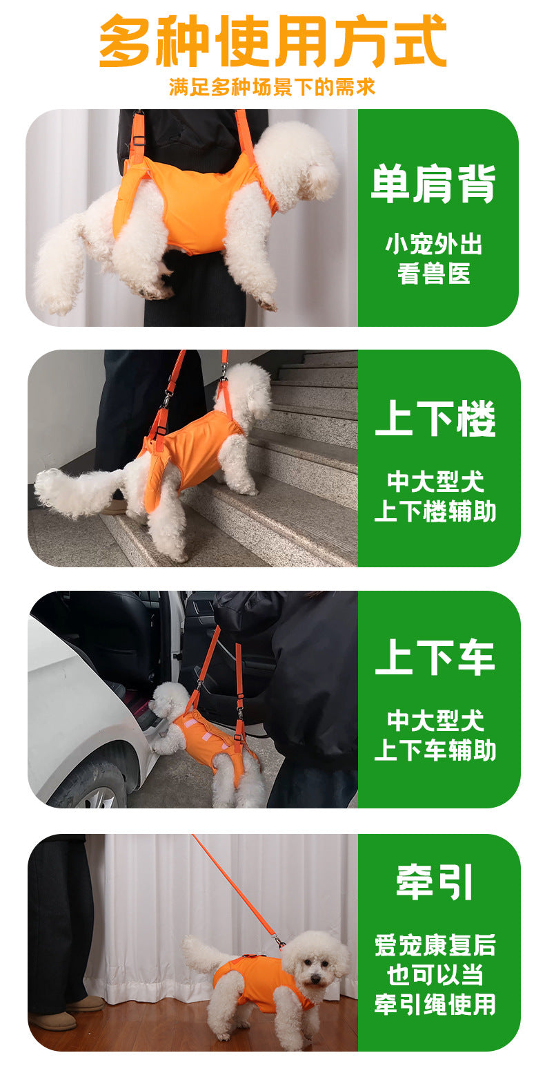 Cross-border Dogs Pet Assisted with Disabled Dogs Postoperative Rehabilitation Elderly Dogs Assisted with Auxiliary with Outgoing Helper