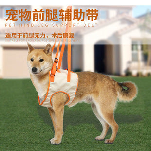 Pet dog walking light night out anti-lost light long endurance waterproof rainproof 9 modes adjustable pet light