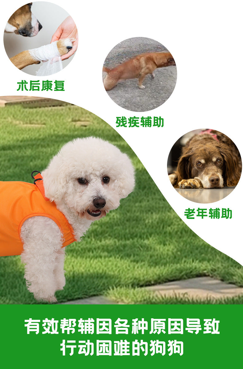 Cross-border Dogs Pet Assisted with Disabled Dogs Postoperative Rehabilitation Elderly Dogs Assisted with Auxiliary with Outgoing Helper