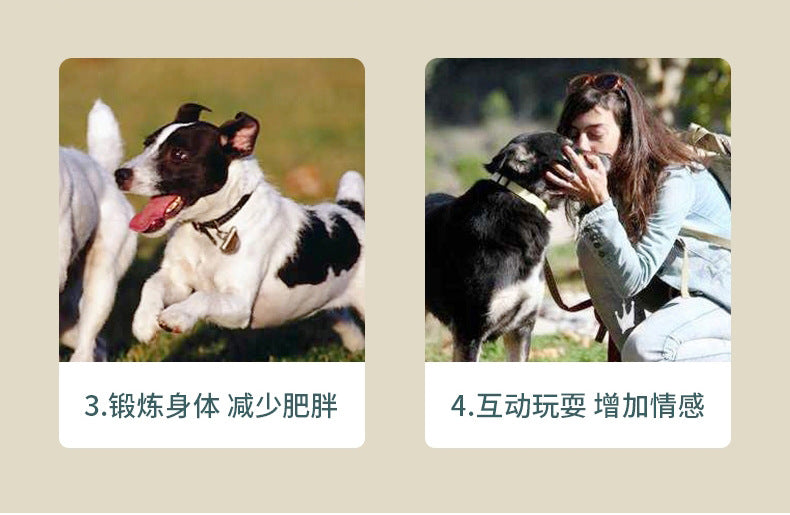 Dog Leakage Food Toy Educational Leakage Ball Tumbler Keki Golden Hair Small Dog Training Snacks Hidden Food Wholesale
