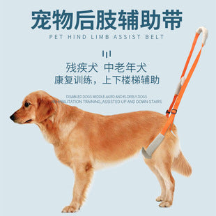 Pet dog walking light night out anti-lost light long endurance waterproof rainproof 9 modes adjustable pet light