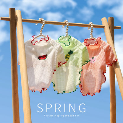 Spring and Summer Dog Cat Pet Clothes Base Shirt Autumn Two-legged Clothes Teddy Panda Home Clothes Dog Supplies Clothing