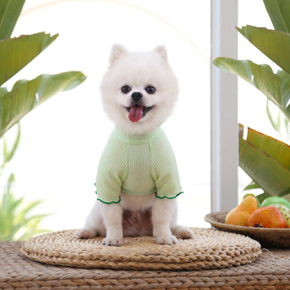 Spring and Summer Dog Cat Pet Clothes Base Shirt Autumn Two-legged Clothes Teddy Panda Home Clothes Dog Supplies Clothing