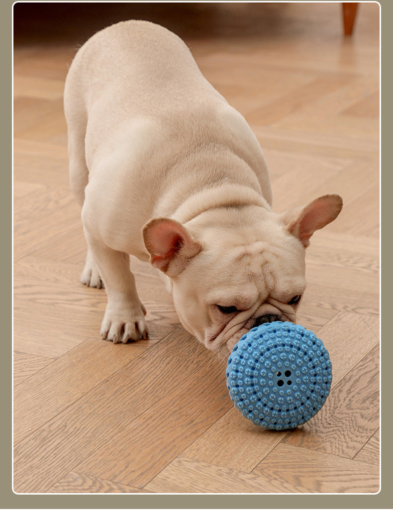 Dog Leakage Food Toy Educational Leakage Ball Tumbler Keki Golden Hair Small Dog Training Snacks Hidden Food Wholesale