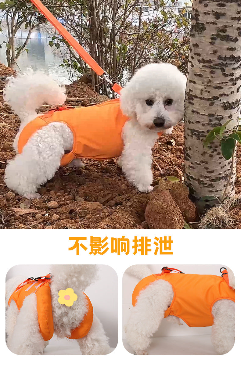 Cross-border Dogs Pet Assisted with Disabled Dogs Postoperative Rehabilitation Elderly Dogs Assisted with Auxiliary with Outgoing Helper