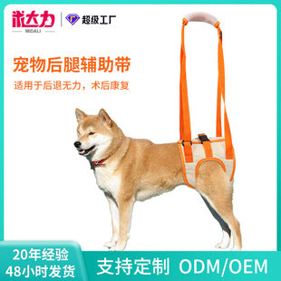Pet dog walking light night out anti-lost light long endurance waterproof rainproof 9 modes adjustable pet light