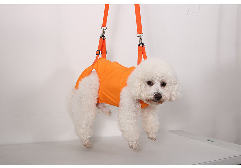 Cross-border Dogs Pet Assisted with Disabled Dogs Postoperative Rehabilitation Elderly Dogs Assisted with Auxiliary with Outgoing Helper