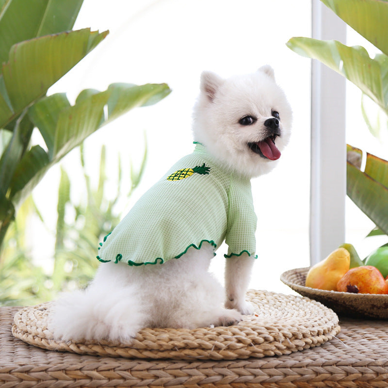 Spring and Summer Dog Cat Pet Clothes Base Shirt Autumn Two-legged Clothes Teddy Panda Home Clothes Dog Supplies Clothing
