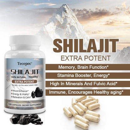 Shilajit & Ginseng Capsules, Mineral Herbal Supplement for Daily Focus Energy Endurance Brain & Immune Wellness, Relieve Stress