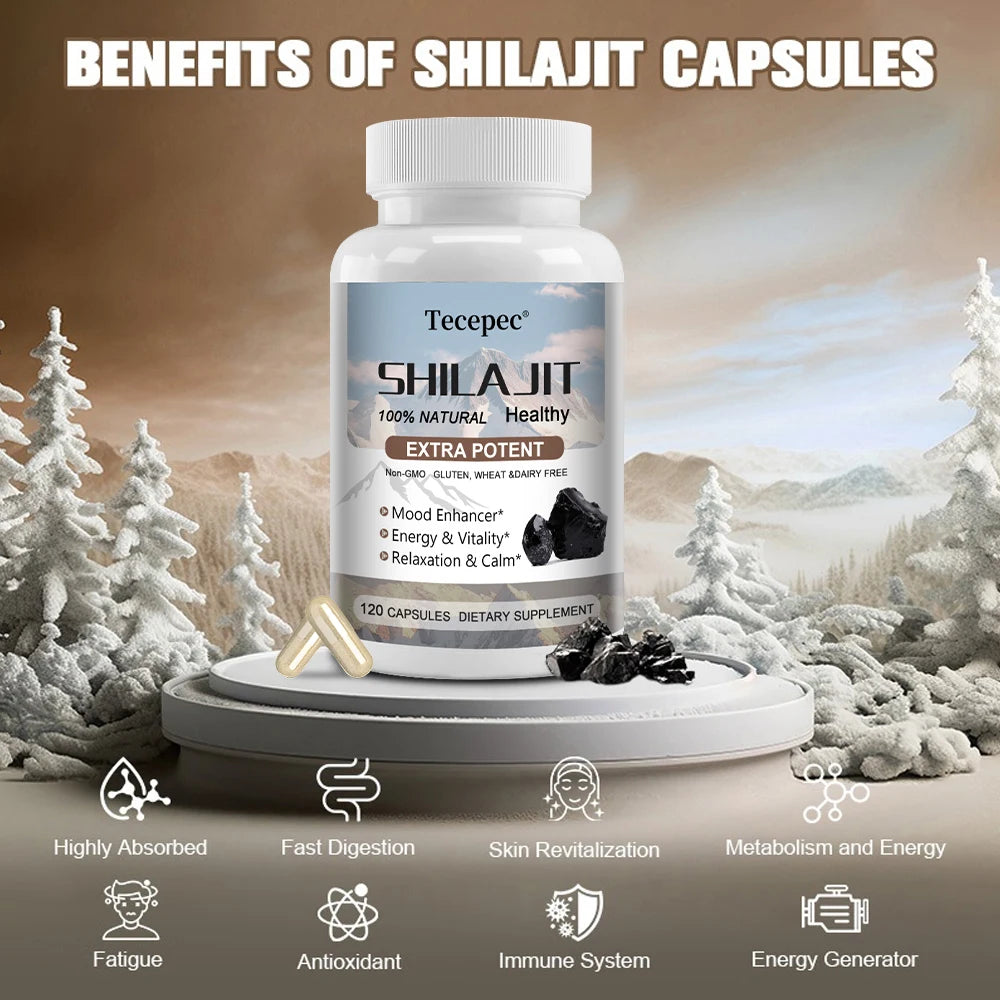 Shilajit & Ginseng Capsules, Mineral Herbal Supplement for Daily Focus Energy Endurance Brain & Immune Wellness, Relieve Stress
