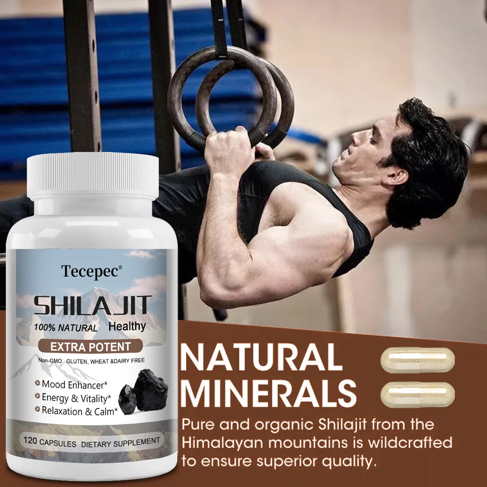Shilajit & Ginseng Capsules, Mineral Herbal Supplement for Daily Focus Energy Endurance Brain & Immune Wellness, Relieve Stress