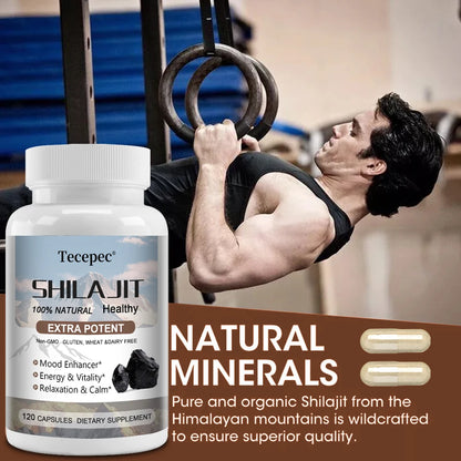 Shilajit & Ginseng Capsules, Mineral Herbal Supplement for Daily Focus Energy Endurance Brain & Immune Wellness, Relieve Stress