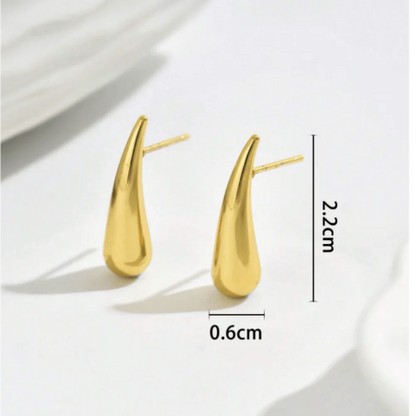 Minimalist Niche Design Water Drop Chili Earrings for Women Fashionable and Versatile Stainless Steel Earrings