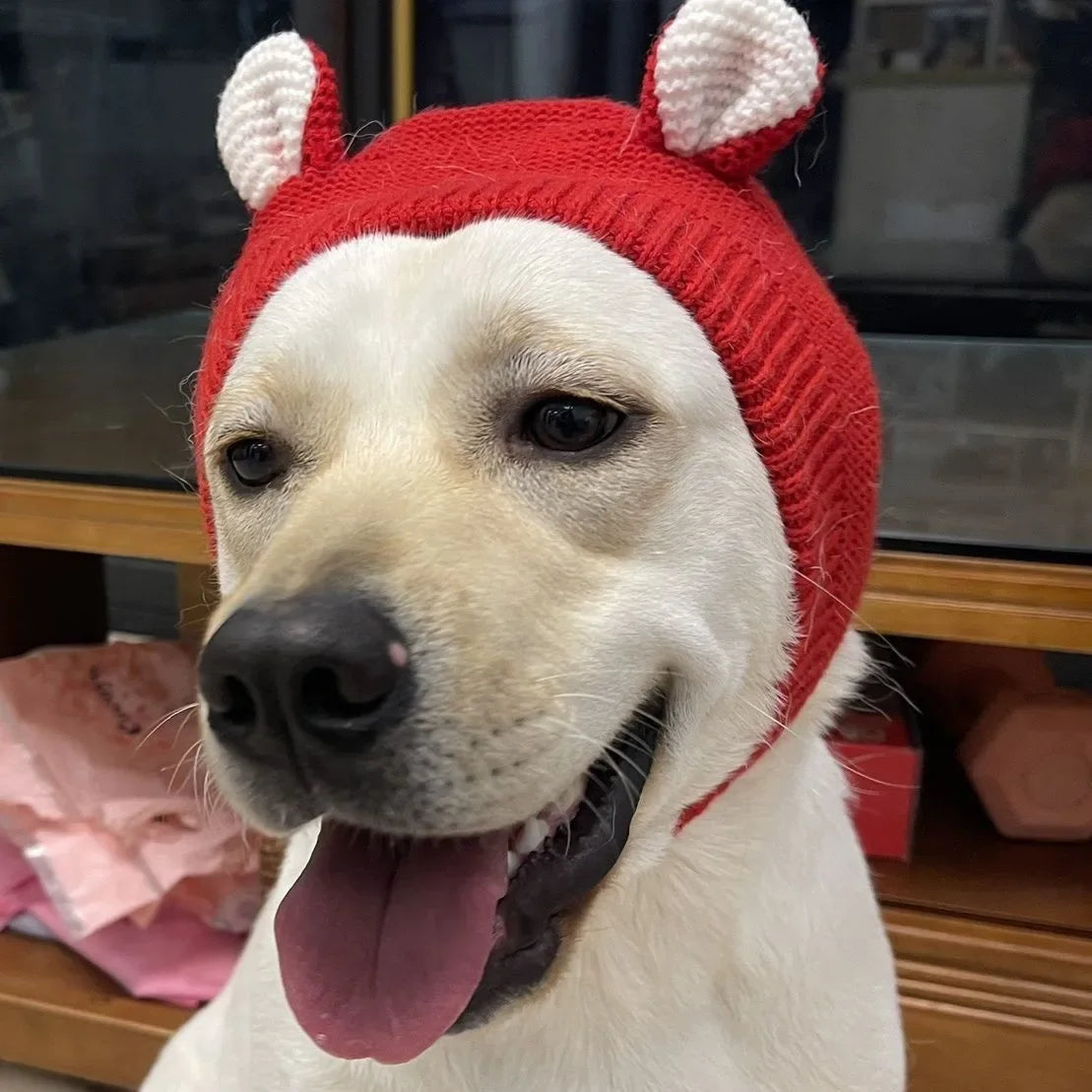 Quiet Dog Ear Muffs Noise Protection Pet Ears Covers Knitted Hat Anxiety Relief Winter Warm Earmuffs For Medium Large Dogs New