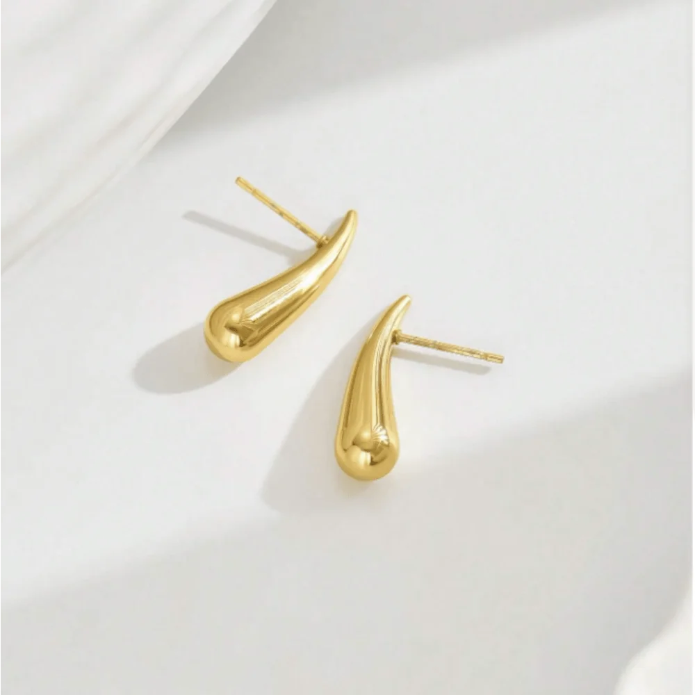 Minimalist Niche Design Water Drop Chili Earrings for Women Fashionable and Versatile Stainless Steel Earrings