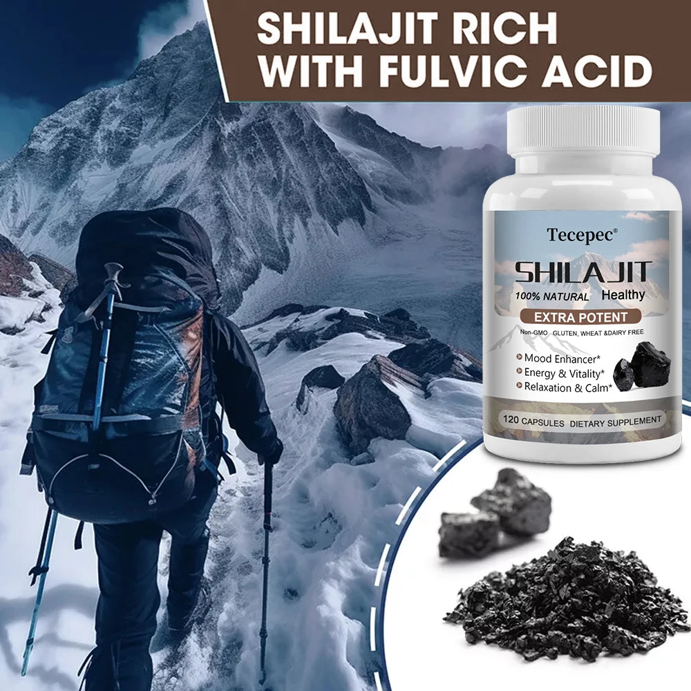 Shilajit & Ginseng Capsules, Mineral Herbal Supplement for Daily Focus Energy Endurance Brain & Immune Wellness, Relieve Stress