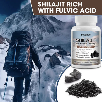 Shilajit & Ginseng Capsules, Mineral Herbal Supplement for Daily Focus Energy Endurance Brain & Immune Wellness, Relieve Stress