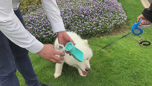 Dog Portable Water Bottle Foldable Pet Water Dispenser Pet Products